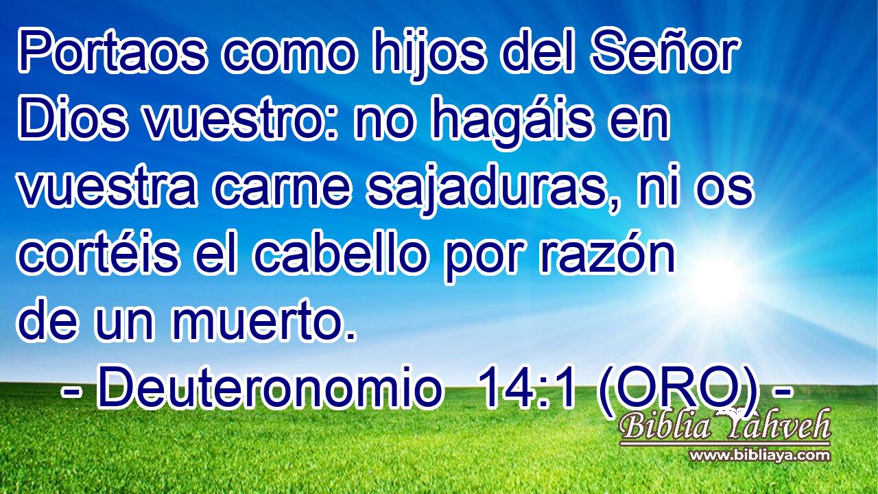  Portaos como hijos del Señor Dios vuestro: no hagáis en vuestra carne sajaduras, ni os cortéis el cabello por razón de un muerto. 
