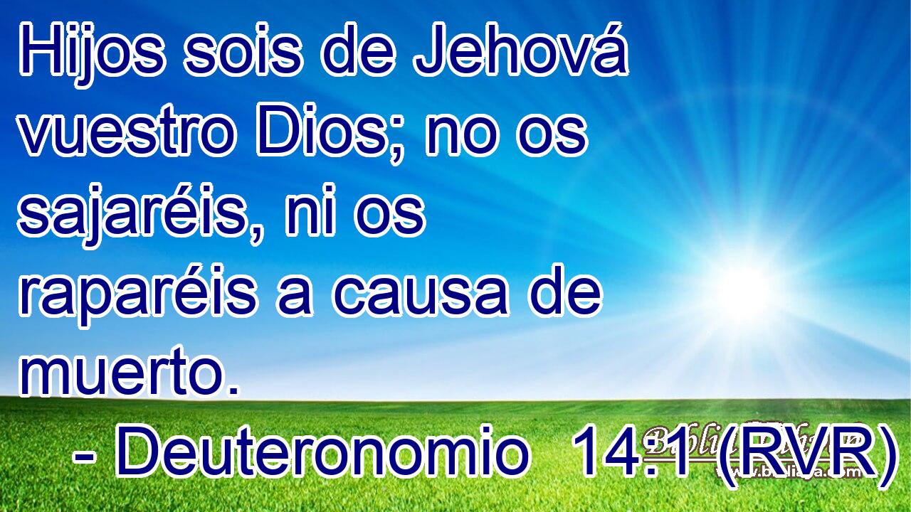 Hijos sois de Jehová vuestro Dios; no os sajaréis, ni os raparéis a causa de muerto.