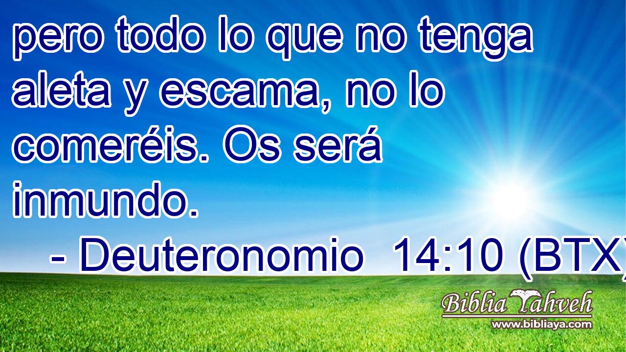 pero todo lo que no tenga aleta y escama, no lo comeréis. Os será inmundo.