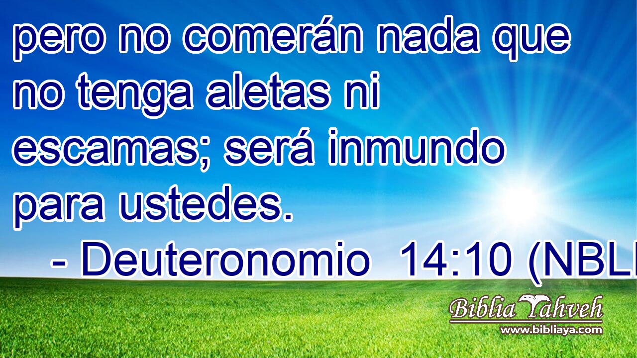  pero no comerán nada que no tenga aletas ni escamas; será inmundo para ustedes. 