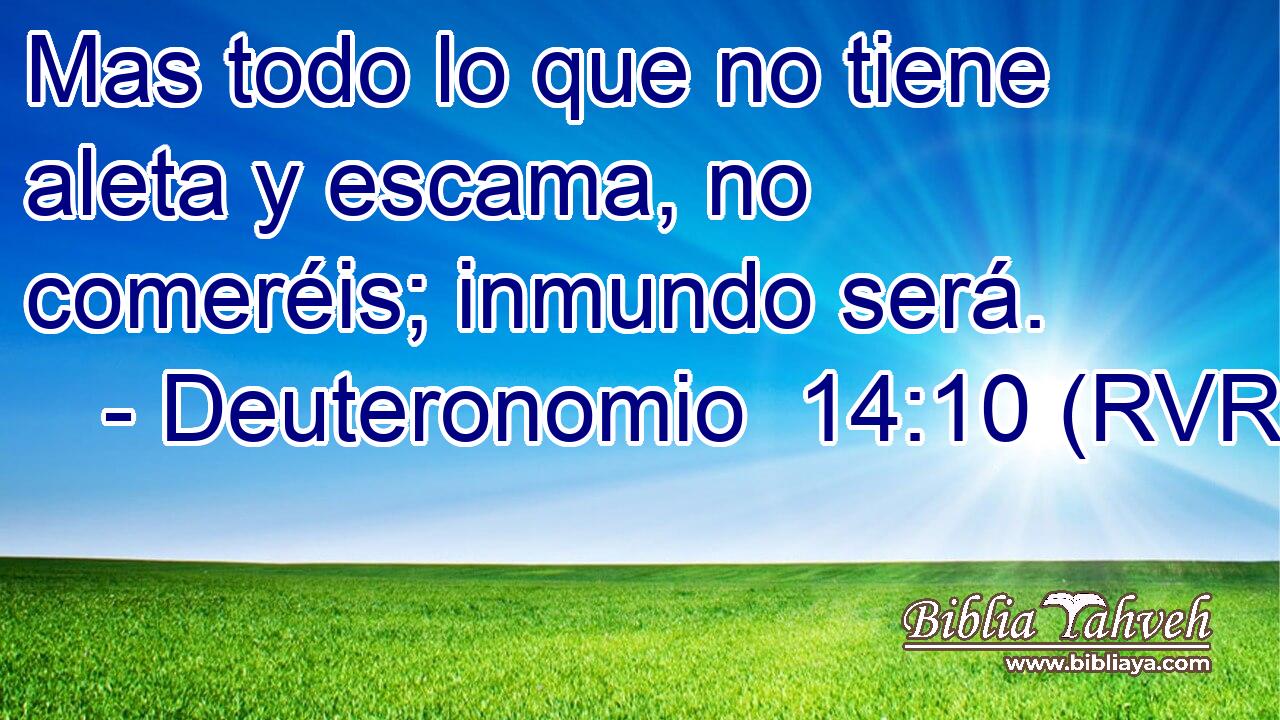 Mas todo lo que no tiene aleta y escama, no comeréis; inmundo será.