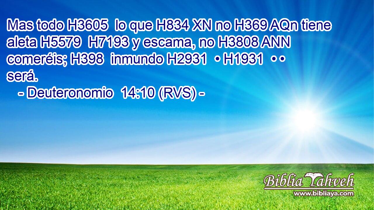 Mas todo H3605  lo que H834 XN no H369 AQn tiene aleta H5579  H7193 y escama, no H3808 ANN comeréis; H398  inmundo H2931  • H1931  • • será. 