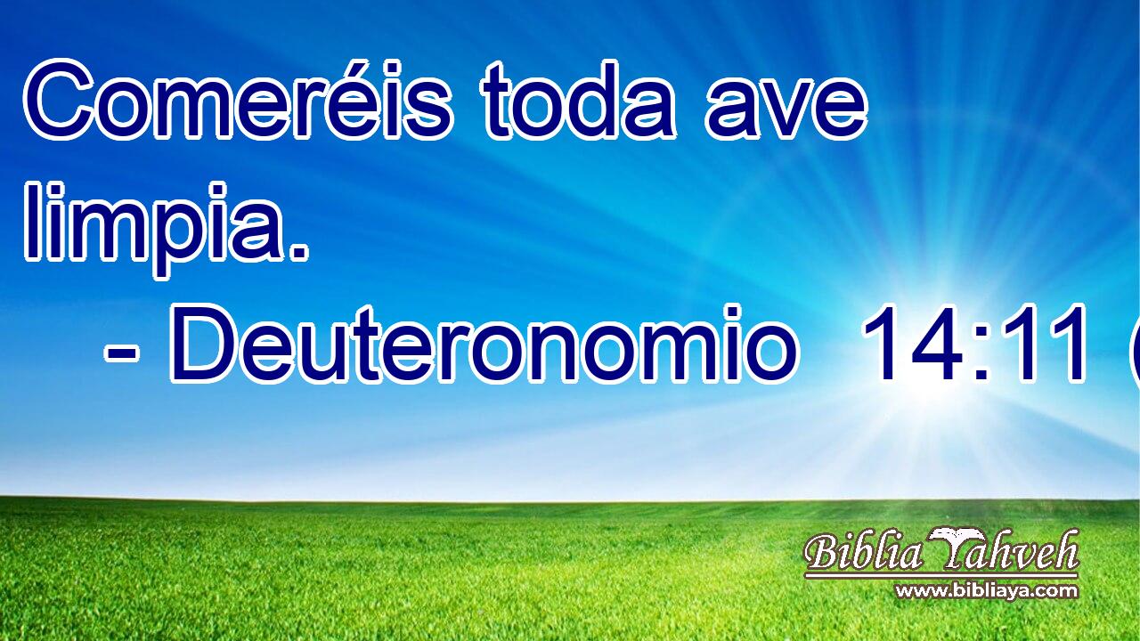Comeréis toda ave limpia.