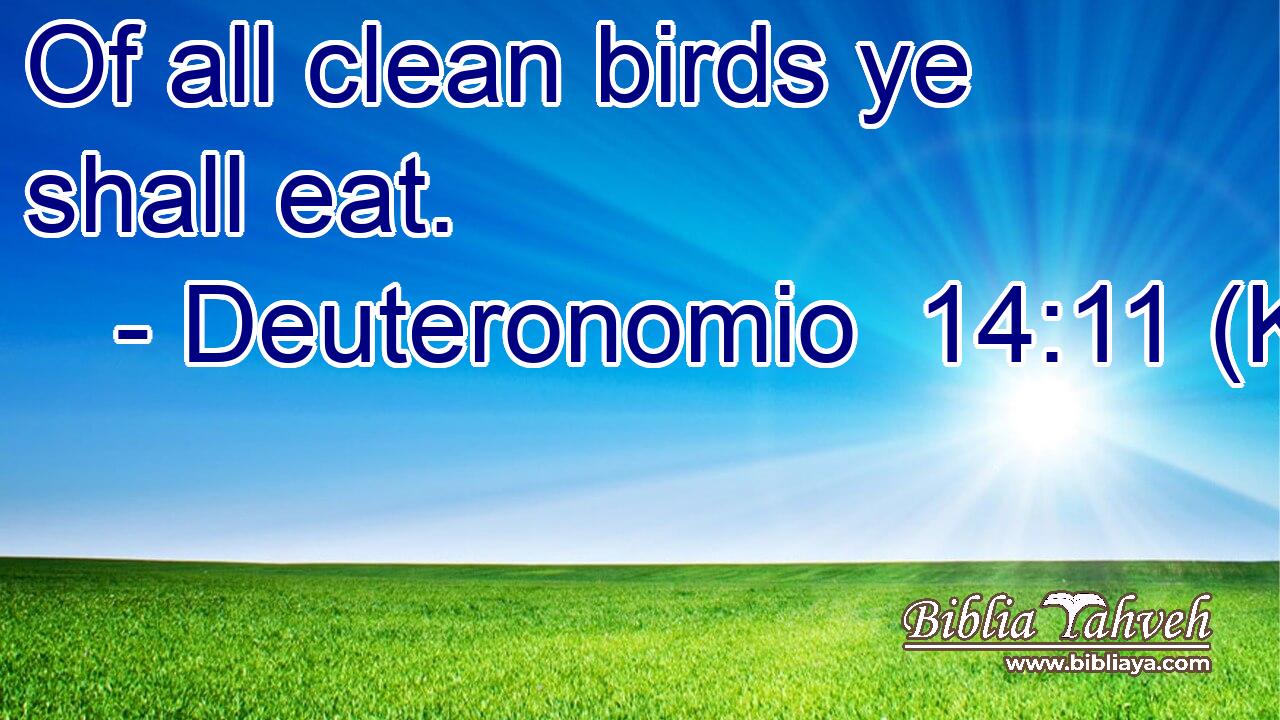 Of all clean birds ye shall eat.