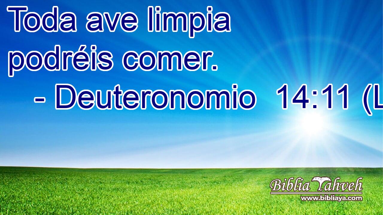 Toda ave limpia podréis comer.
