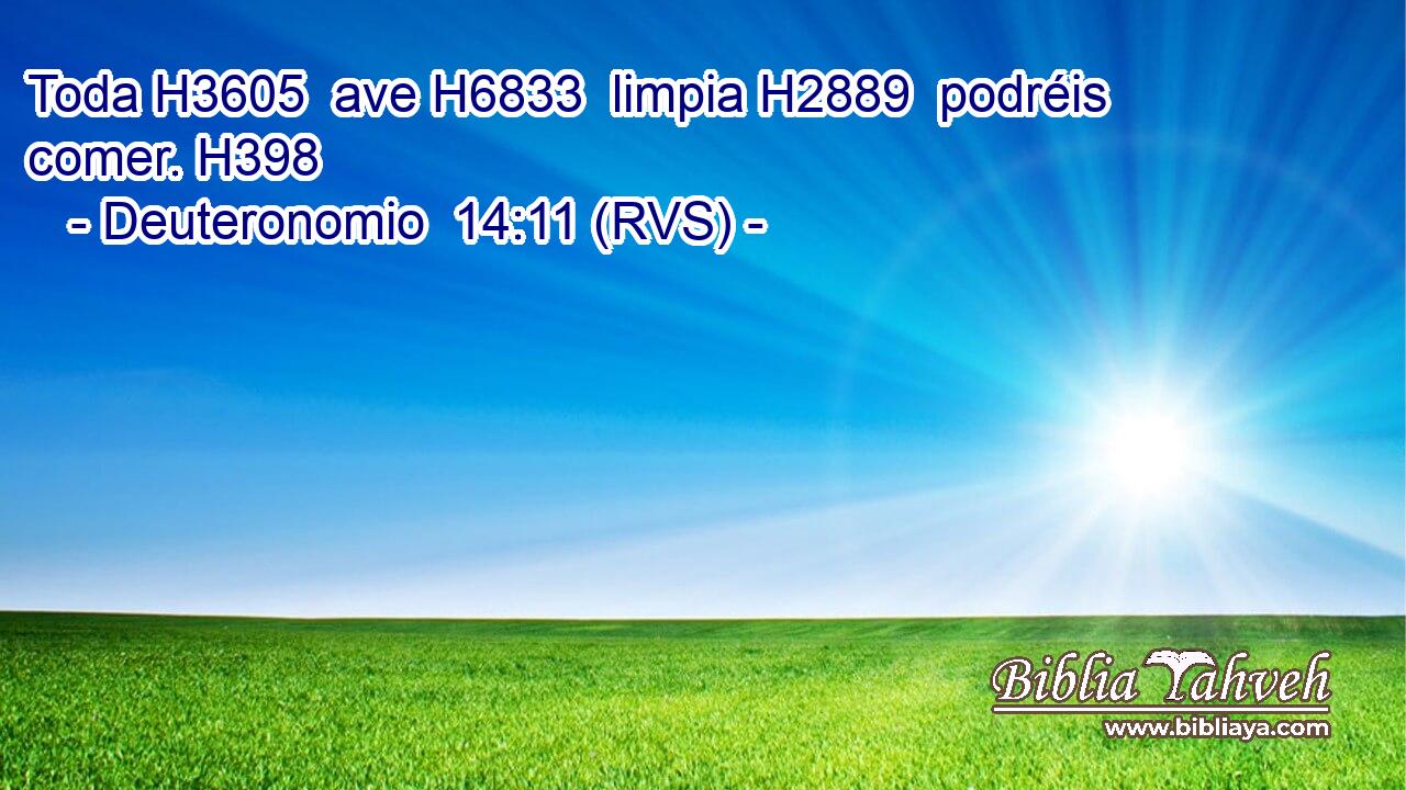 Toda H3605  ave H6833  limpia H2889  podréis comer. H398  