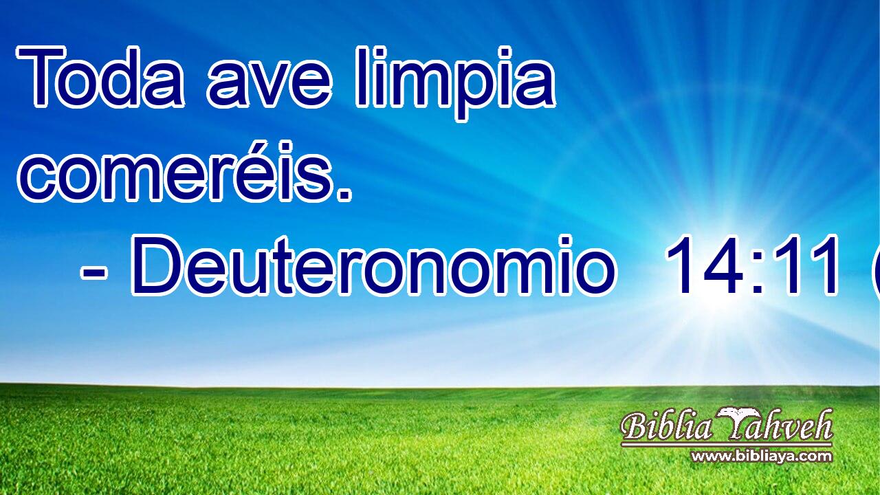 Toda ave limpia comeréis.