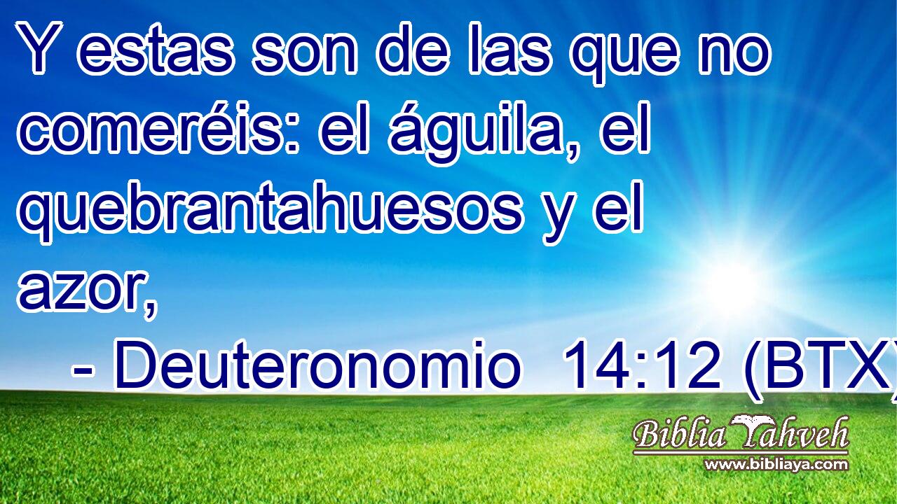Y estas son de las que no comeréis: el águila, el quebrantahuesos y el azor,
