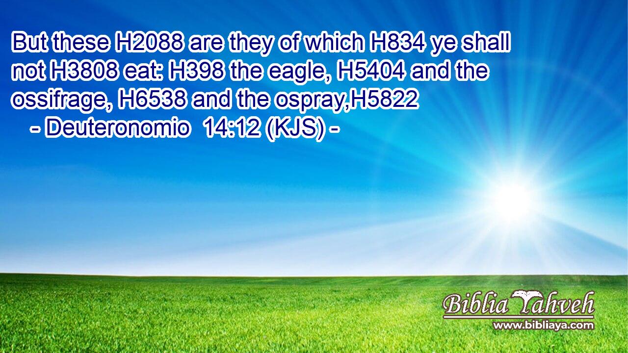 But these H2088 are they of which H834 ye shall not H3808 eat: H398 the eagle, H5404 and the ossifrage, H6538 and the ospray,H5822