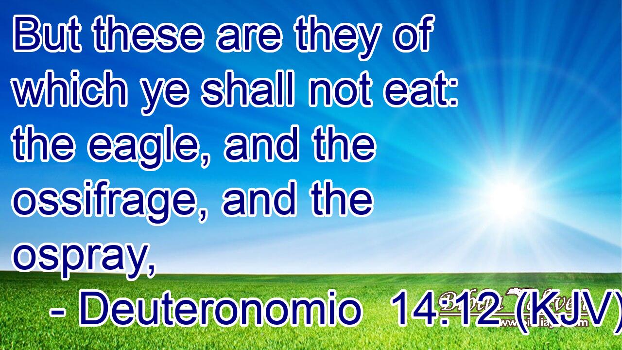 But these are they of which ye shall not eat: the eagle, and the ossifrage, and the ospray,