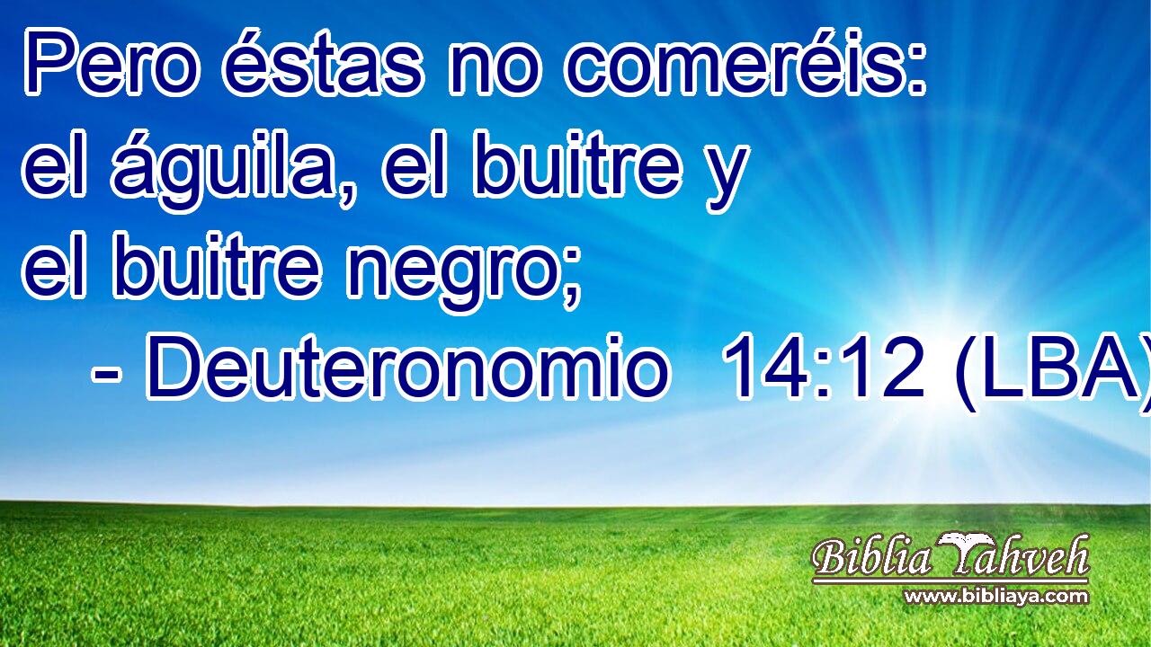 Pero éstas no comeréis: el águila, el buitre y el buitre negro;