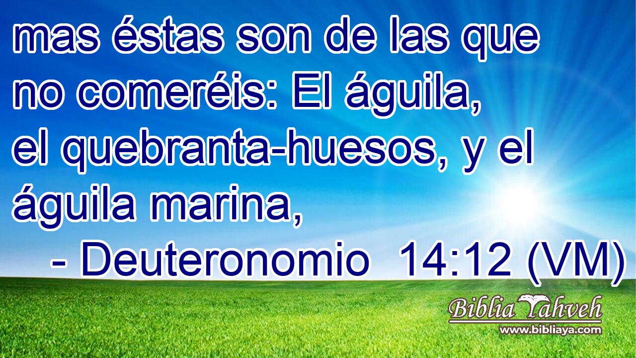  mas éstas son de las que no comeréis: El águila, el quebranta-huesos, y el águila marina, 