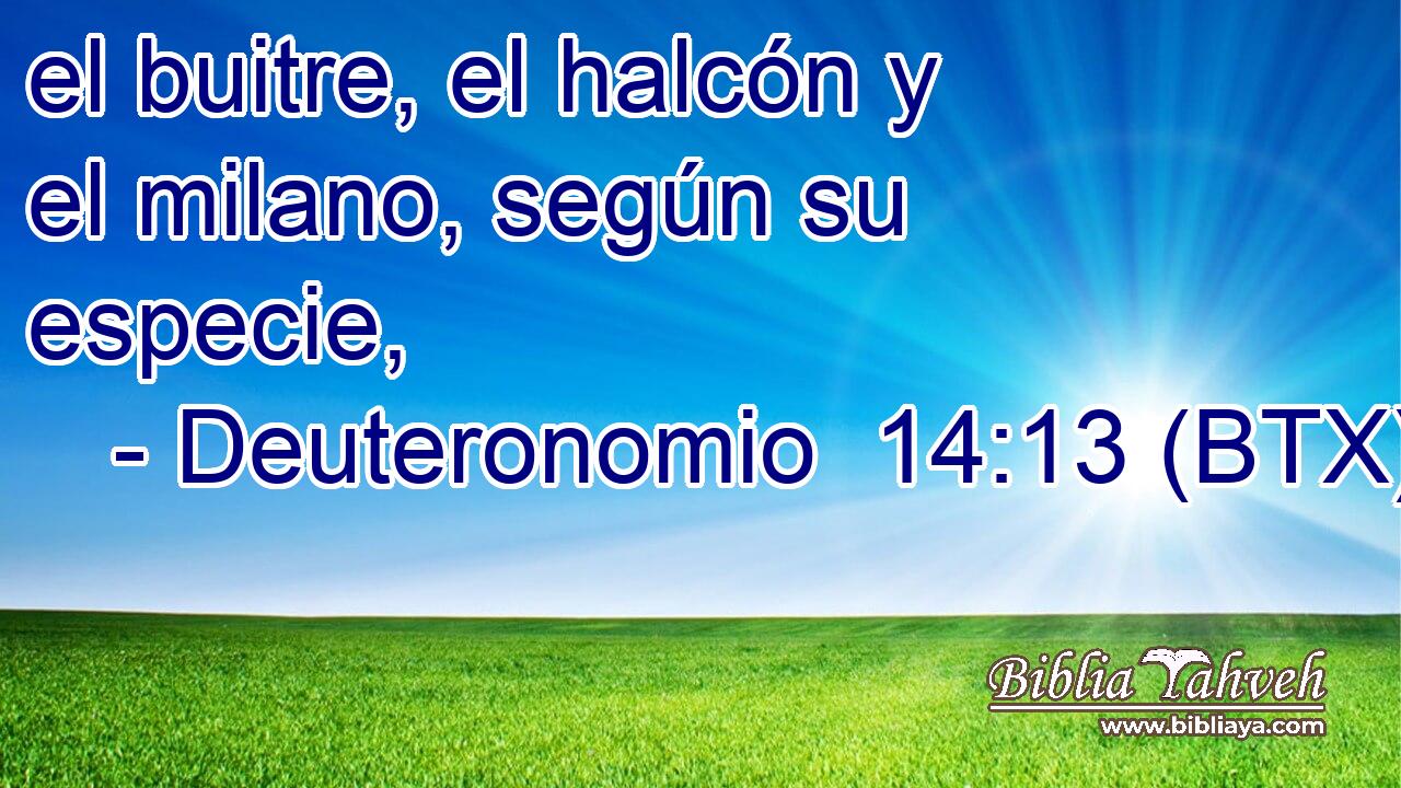 el buitre, el halcón y el milano, según su especie,