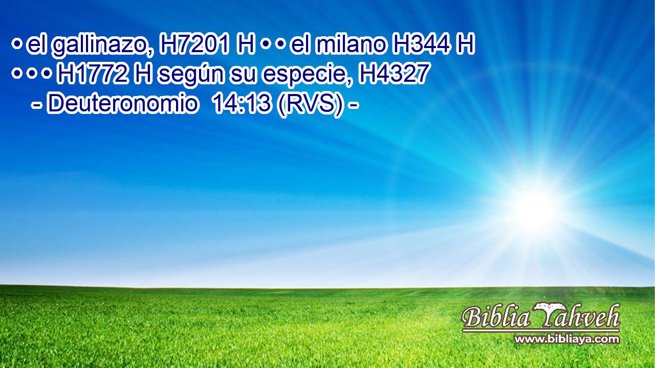 • el gallinazo, H7201 H • • el milano H344 H • • • H1772 H según su especie, H4327  