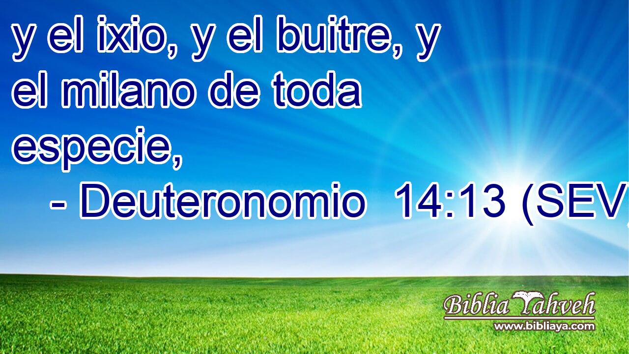 y el ixio, y el buitre, y el milano de toda especie,