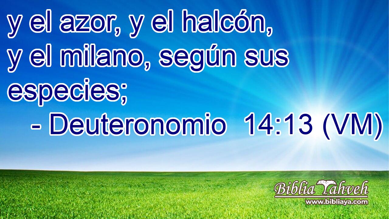  y el azor, y el halcón, y el milano, según sus especies; 