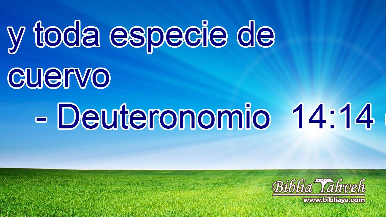 y toda especie de cuervo