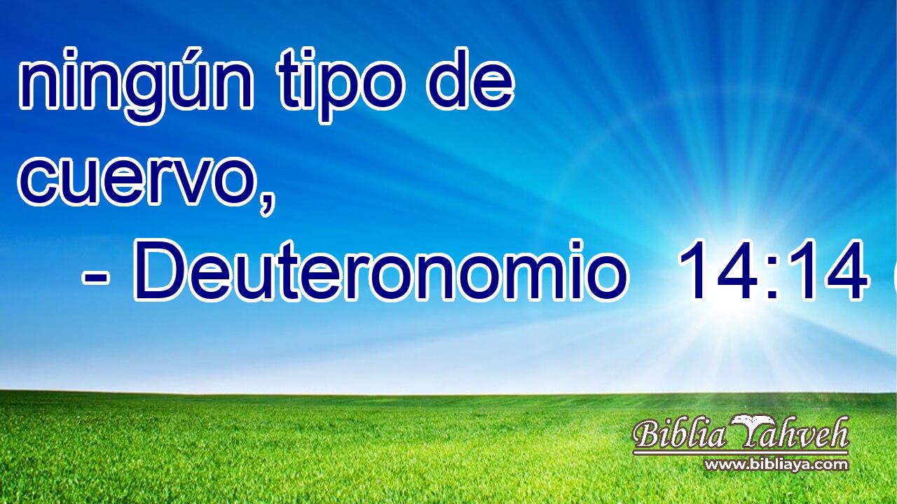  ningún tipo de cuervo, 