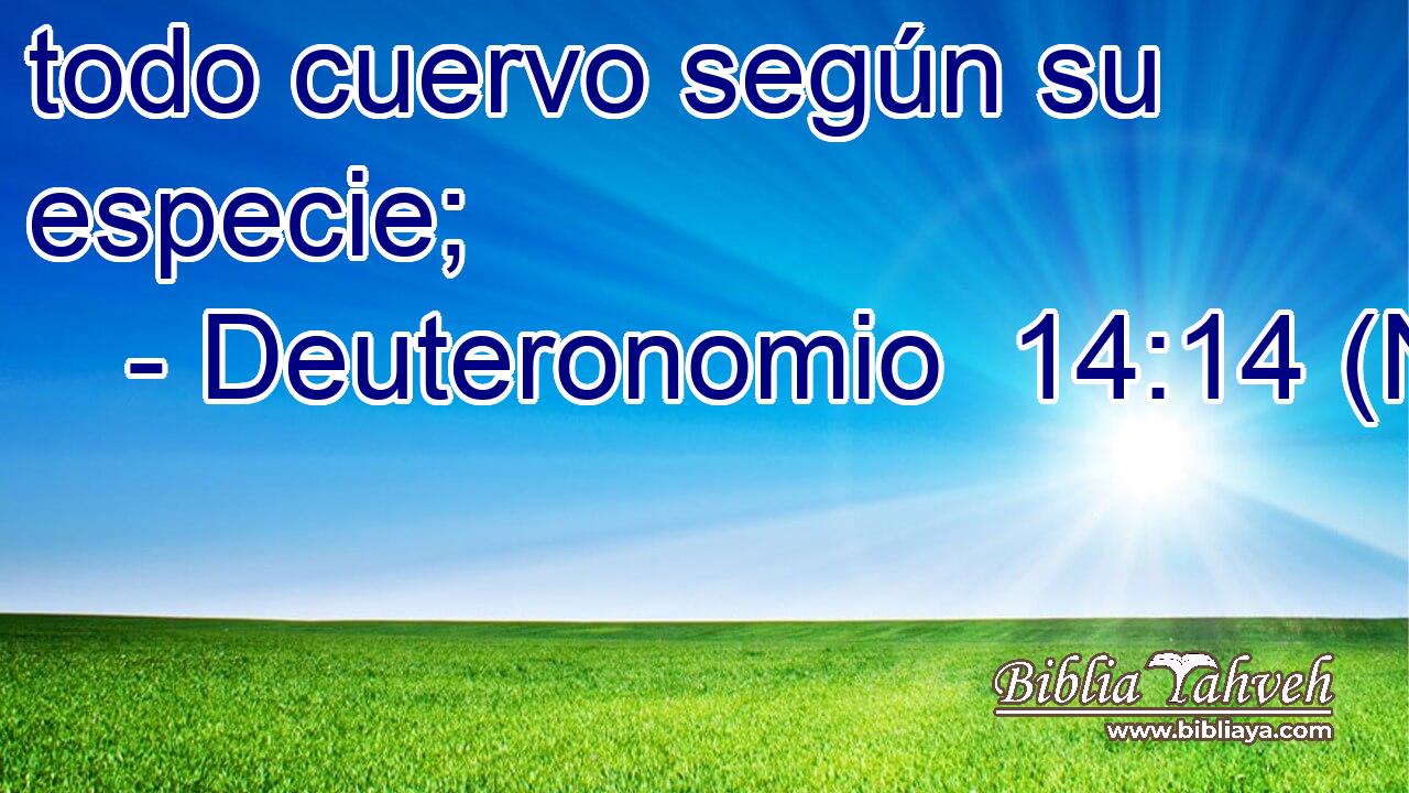  todo cuervo según su especie; 
