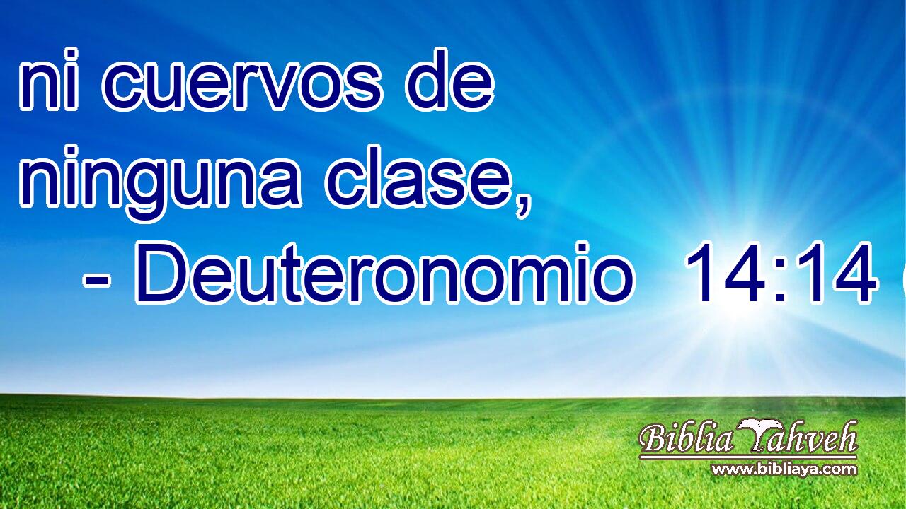 ni cuervos de ninguna clase,
