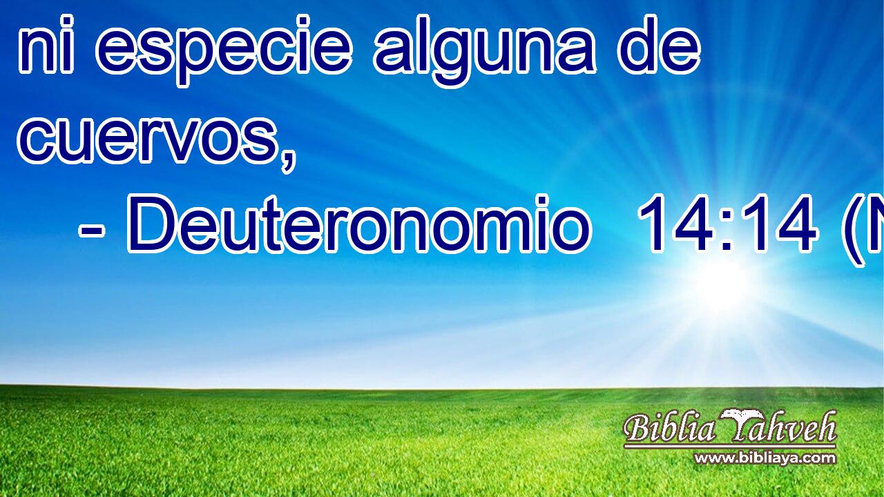  ni especie alguna de cuervos, 