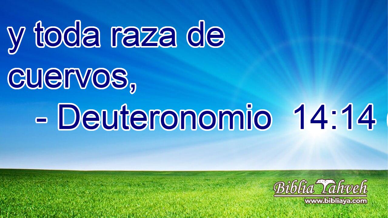  y toda raza de cuervos, 