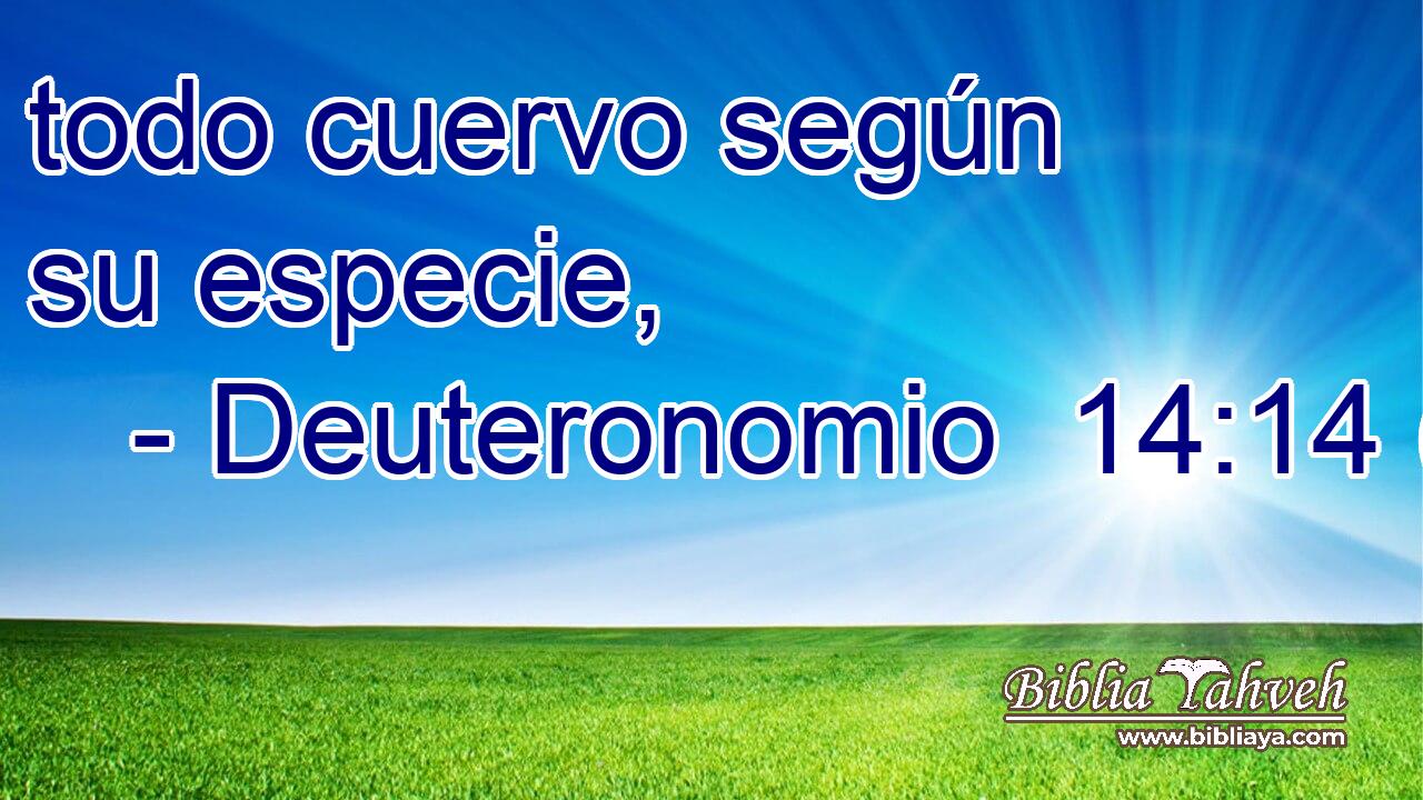 todo cuervo según su especie,