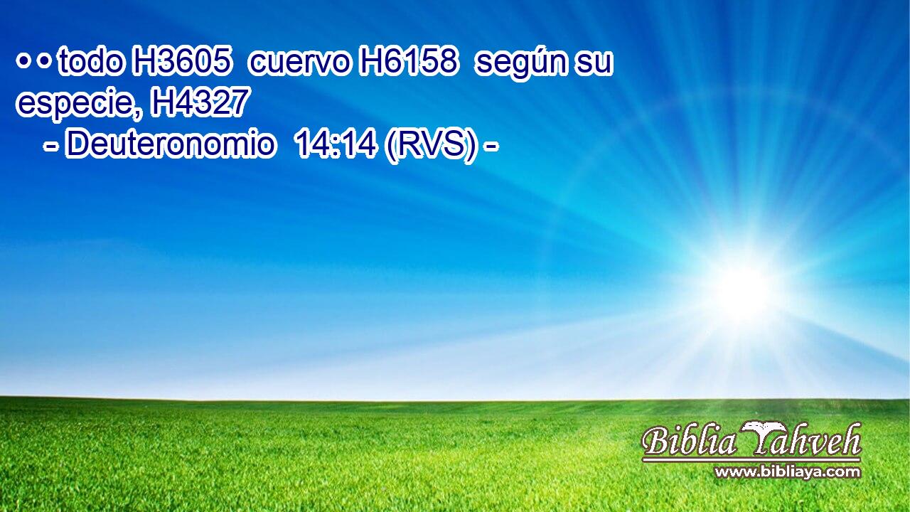 • • todo H3605  cuervo H6158  según su especie, H4327  