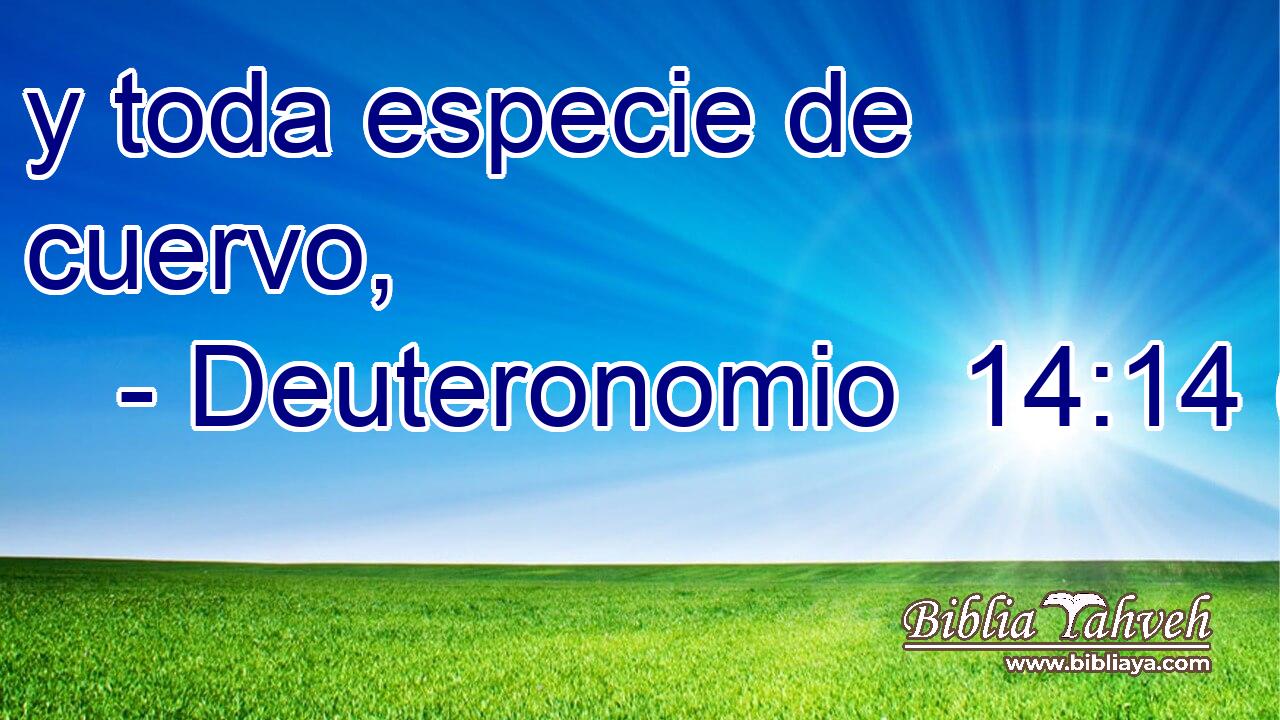 y toda especie de cuervo,