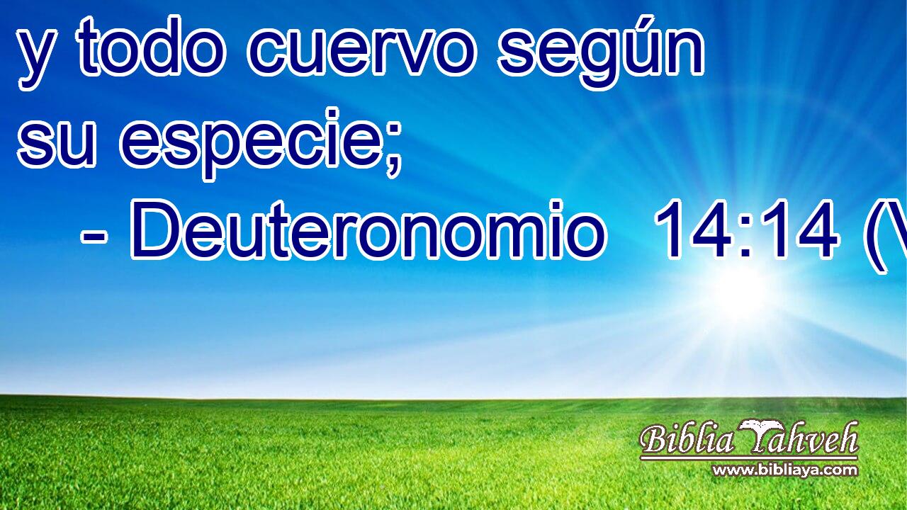  y todo cuervo según su especie; 