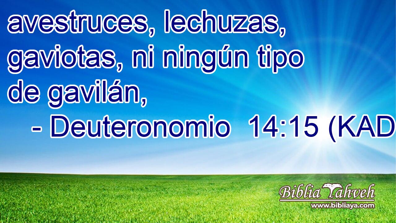  avestruces, lechuzas, gaviotas, ni ningún tipo de gavilán, 