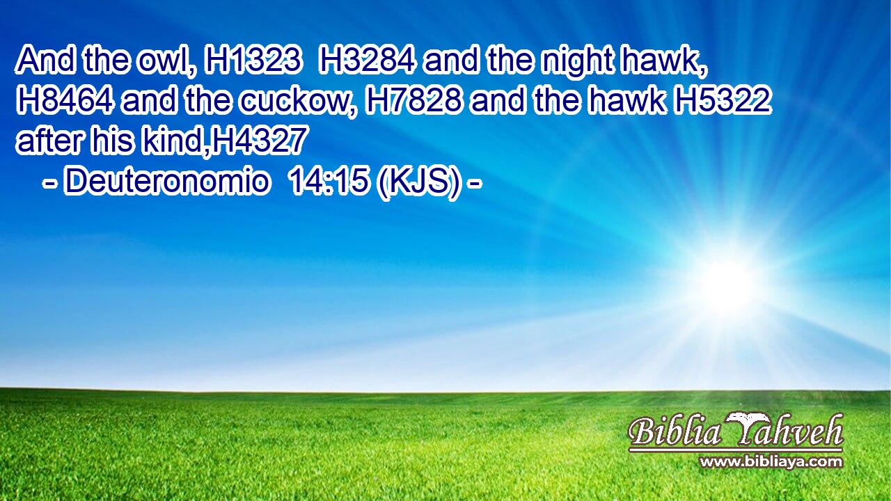 And the owl, H1323  H3284 and the night hawk, H8464 and the cuckow, H7828 and the hawk H5322 after his kind,H4327