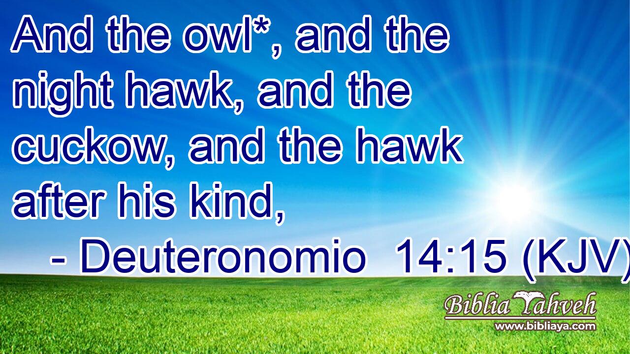 And the owl*, and the night hawk, and the cuckow, and the hawk after his kind,
