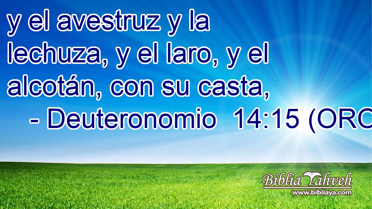  y el avestruz y la lechuza, y el laro, y el alcotán, con su casta, 