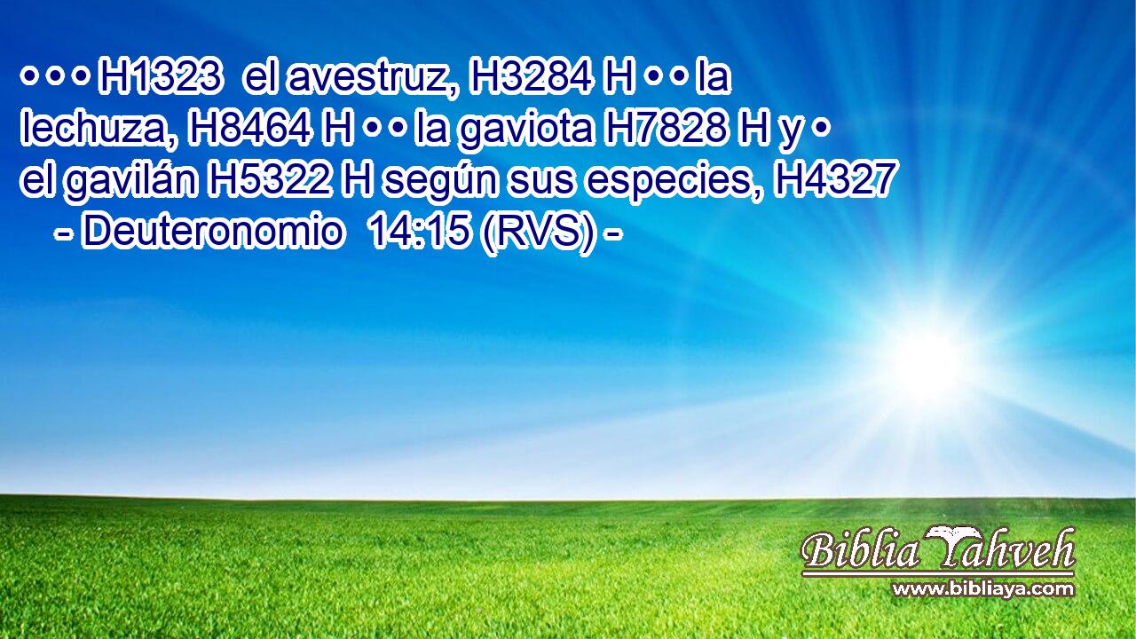 • • • H1323  el avestruz, H3284 H • • la lechuza, H8464 H • • la gaviota H7828 H y • el gavilán H5322 H según sus especies, H4327  