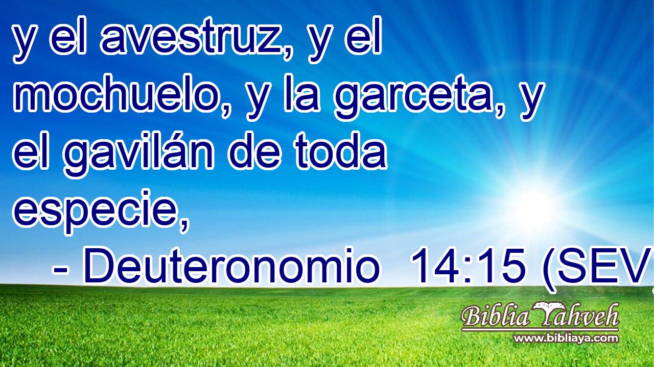 y el avestruz, y el mochuelo, y la garceta, y el gavilán de toda especie,