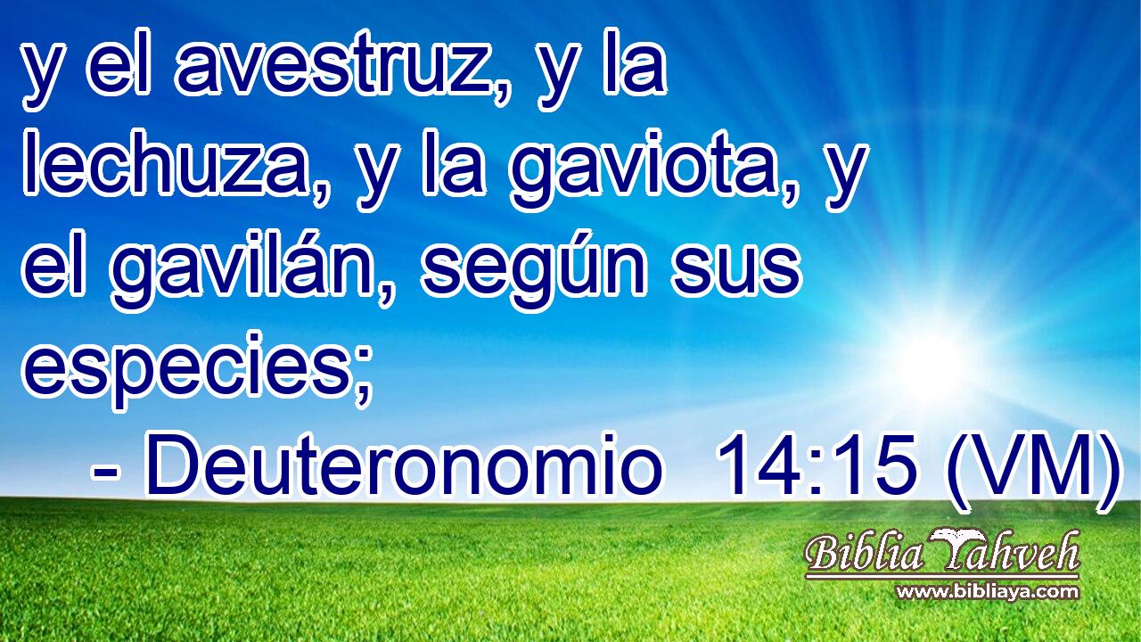  y el avestruz, y la lechuza, y la gaviota, y el gavilán, según sus especies; 