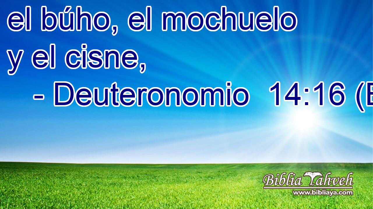 el búho, el mochuelo y el cisne,