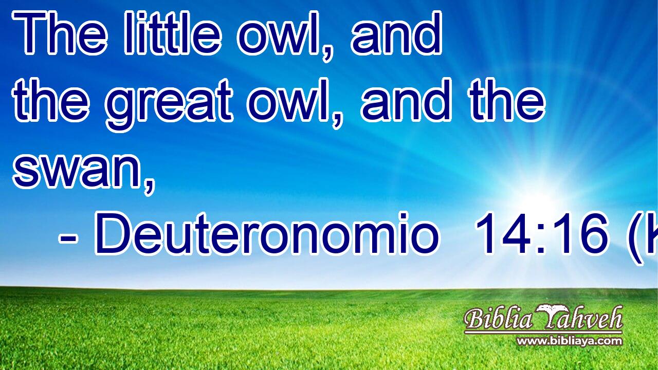 The little owl, and the great owl, and the swan,