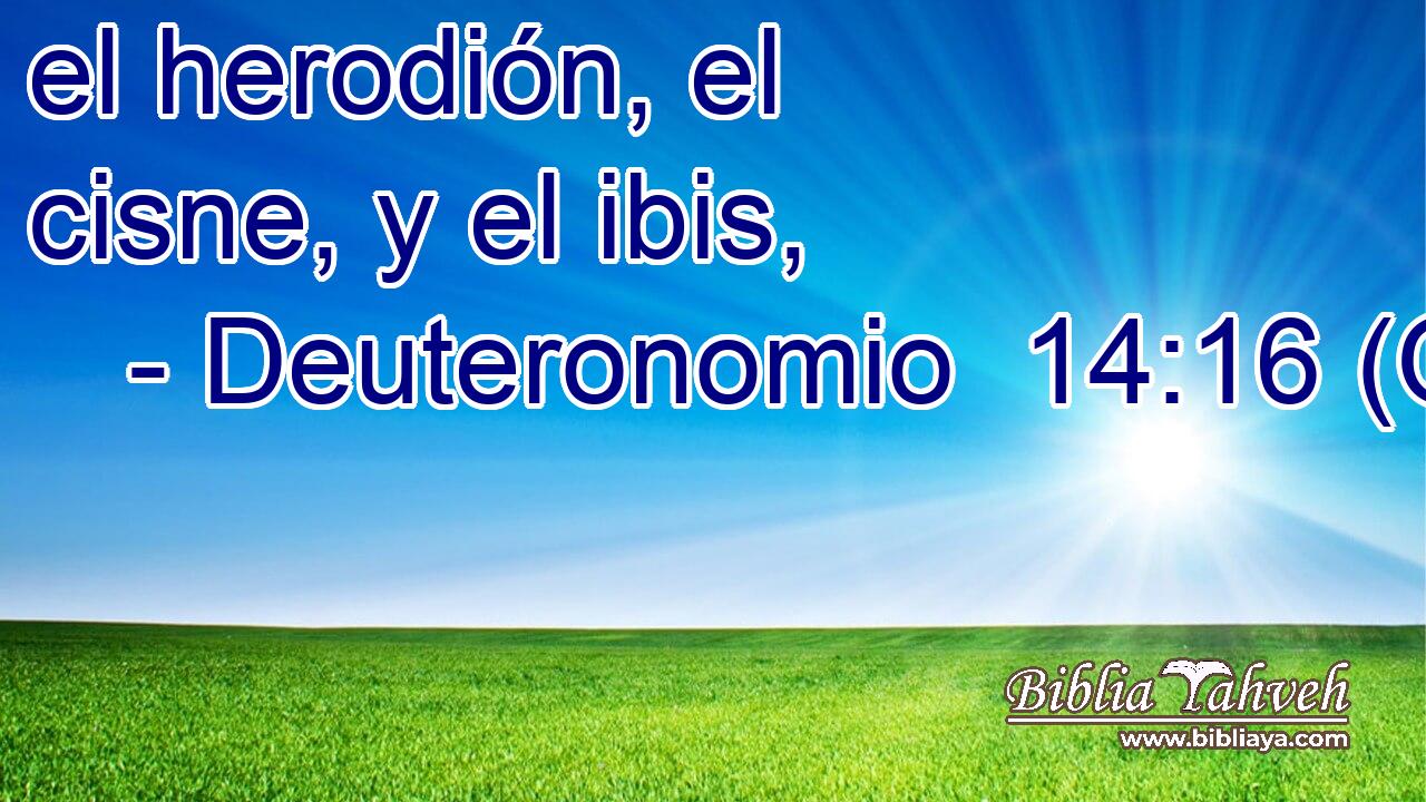  el herodión, el cisne, y el ibis, 