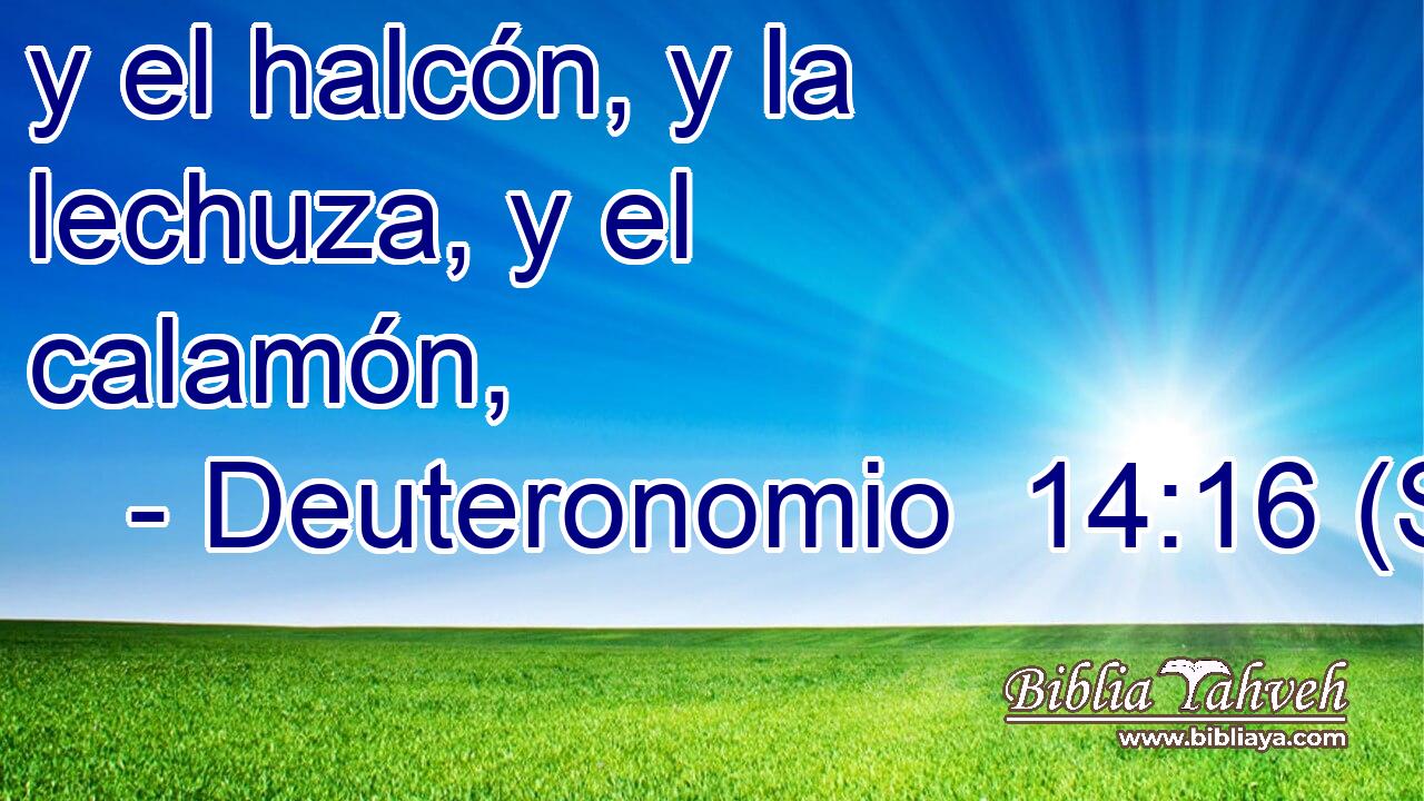 y el halcón, y la lechuza, y el calamón,
