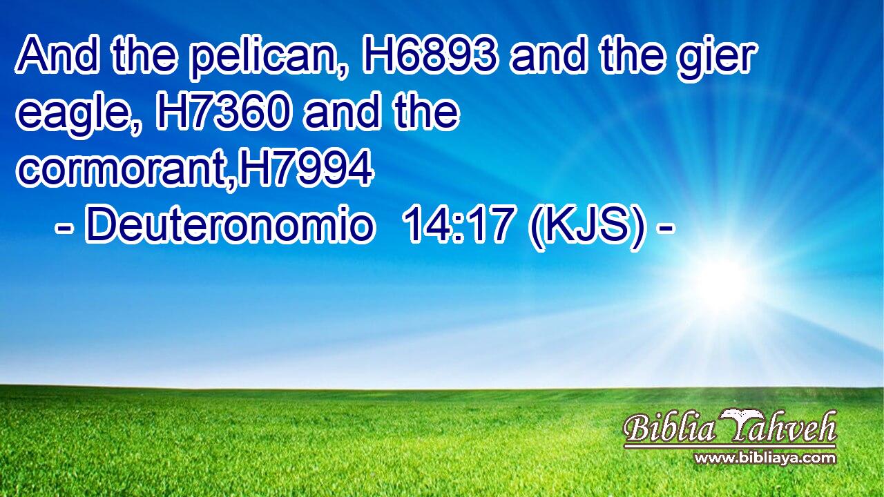 And the pelican, H6893 and the gier eagle, H7360 and the cormorant,H7994
