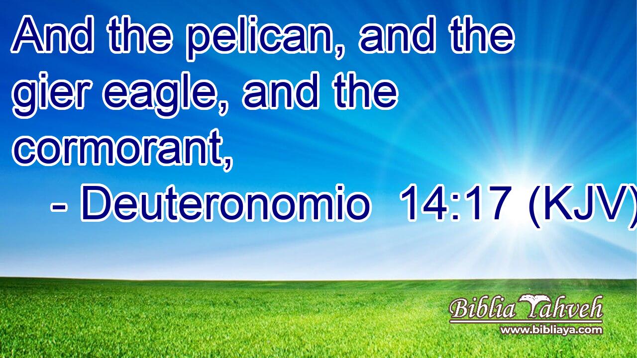 And the pelican, and the gier eagle, and the cormorant,