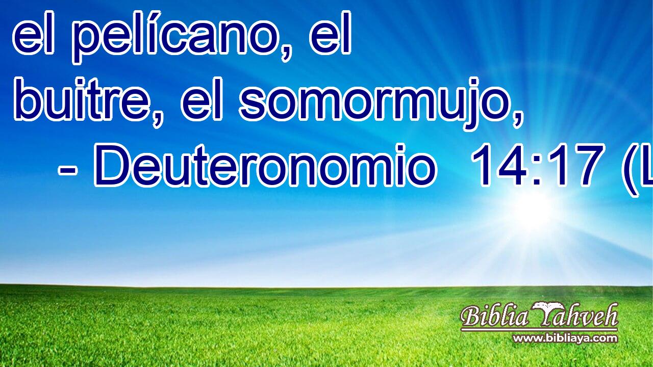 el pelícano, el buitre, el somormujo,