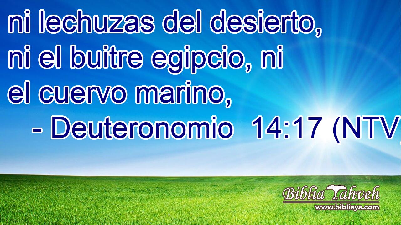 ni lechuzas del desierto, ni el buitre egipcio, ni el cuervo marino,