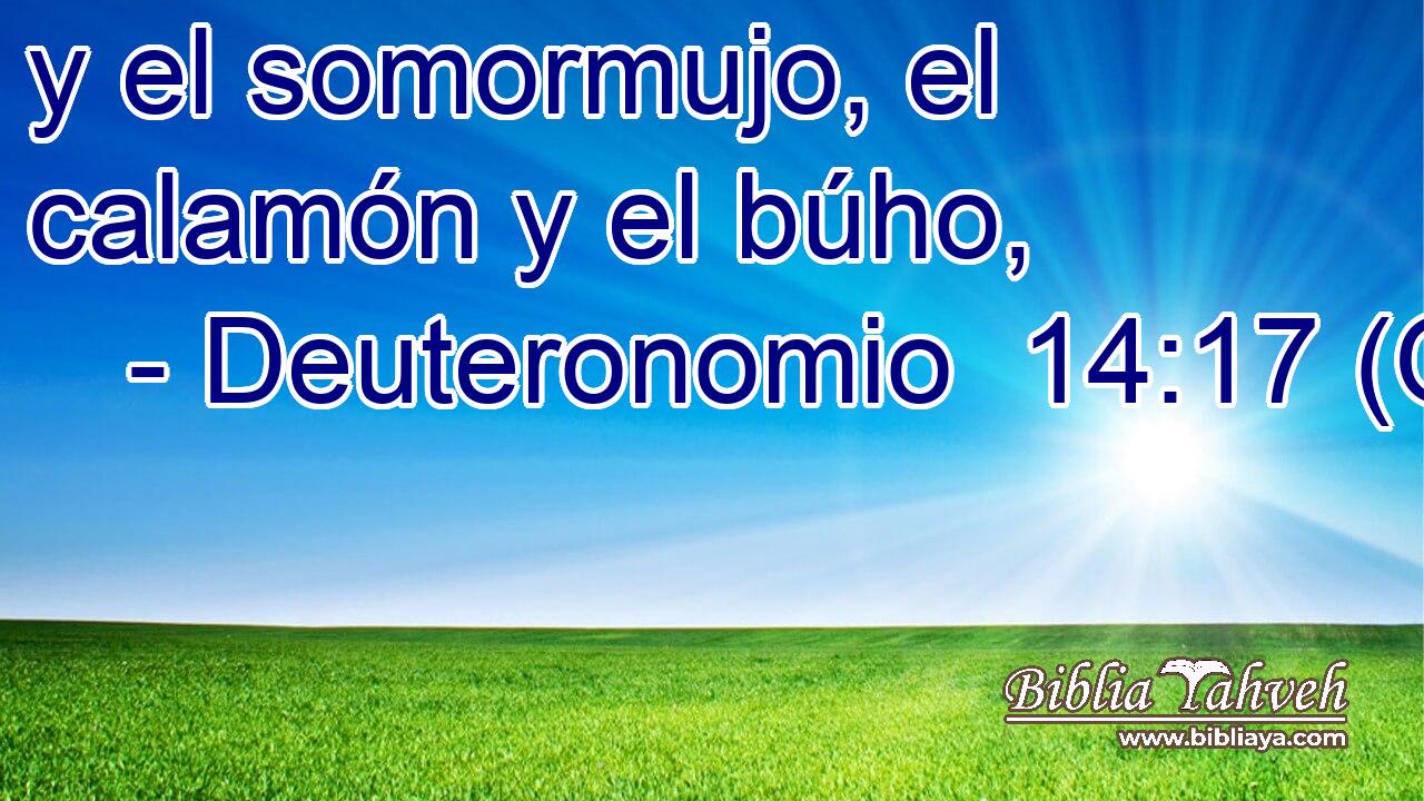  y el somormujo, el calamón y el búho, 