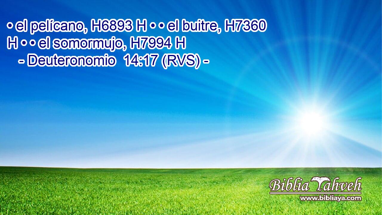 • el pelícano, H6893 H • • el buitre, H7360 H • • el somormujo, H7994 H 