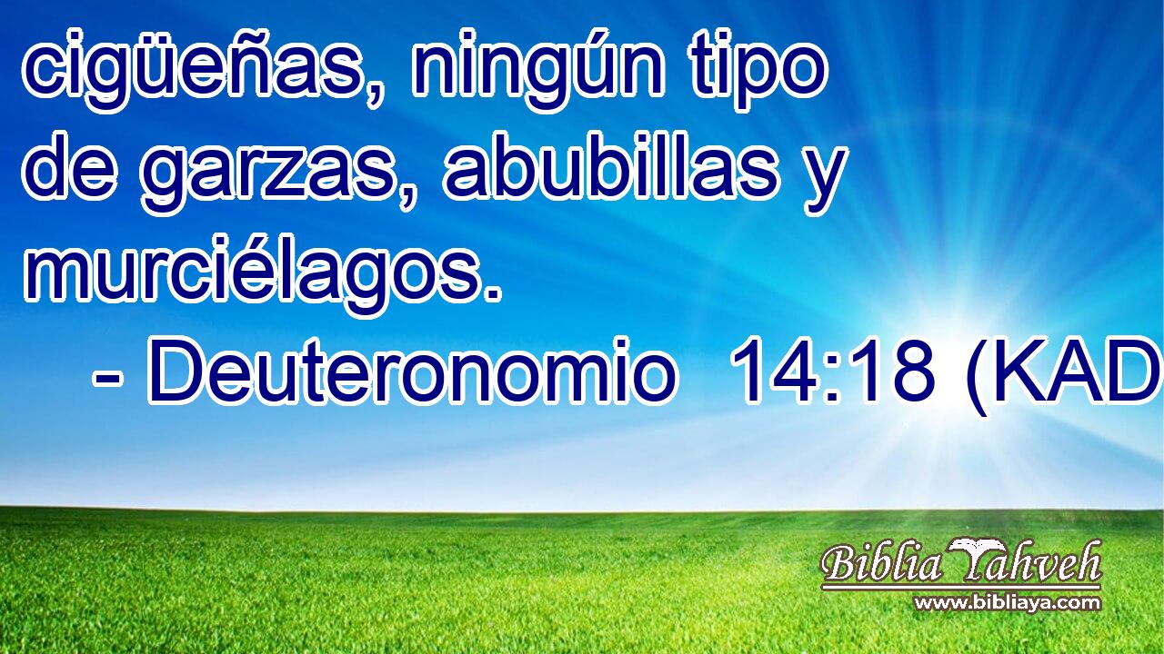  cigüeñas, ningún tipo de garzas, abubillas y murciélagos. 