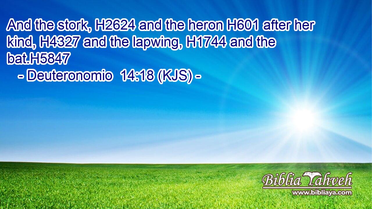 And the stork, H2624 and the heron H601 after her kind, H4327 and the lapwing, H1744 and the bat.H5847