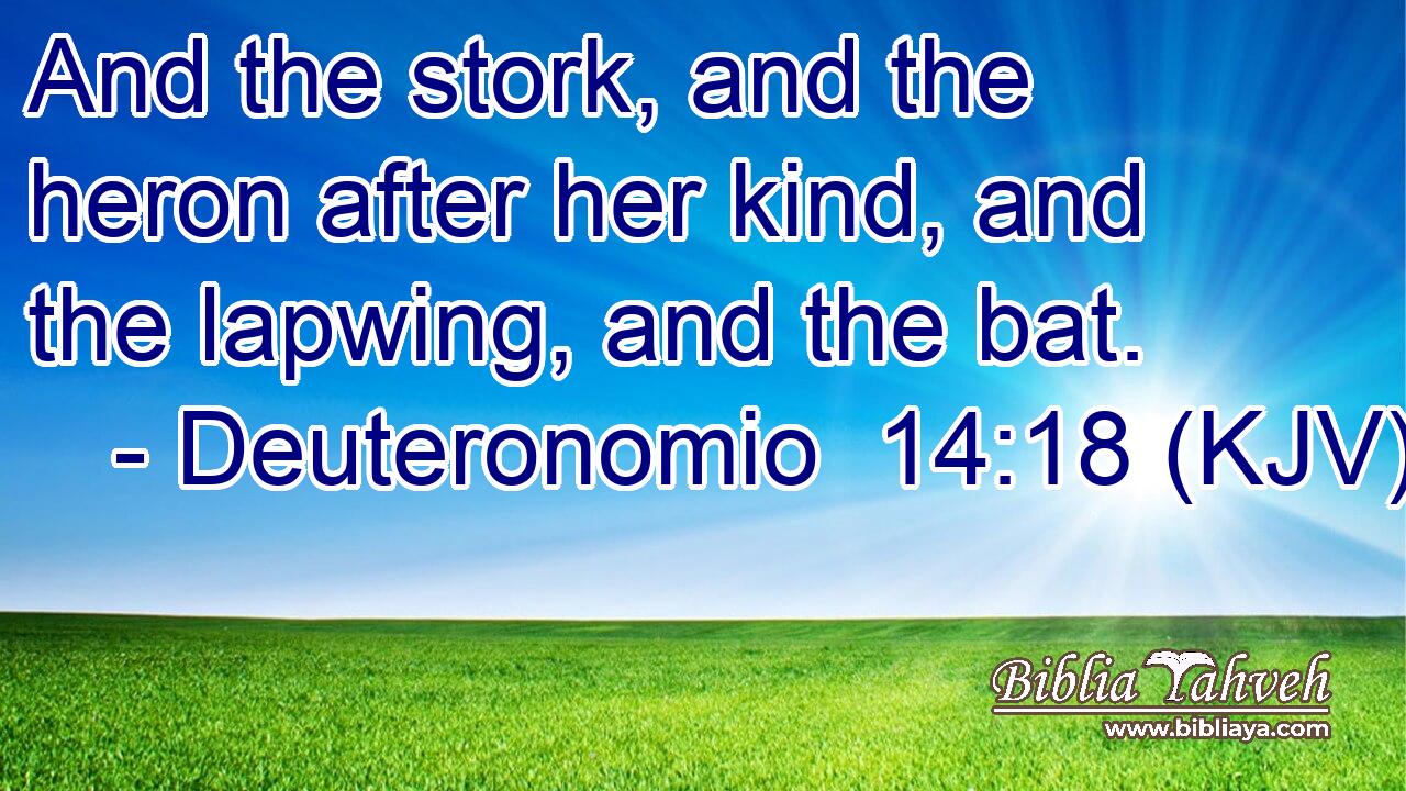 And the stork, and the heron after her kind, and the lapwing, and the bat.